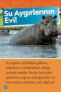 National Geographic Kids - Su Aygırları