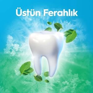Complete Nihai Ferahlık Diş Macunu 75 Mililitre