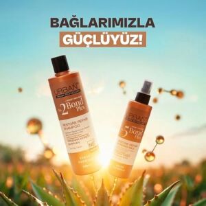 No.2 Plex Yıpranma Karşıtı Saç Bakım Şampuanı Sülfatsız 350 Ml- Vegan
