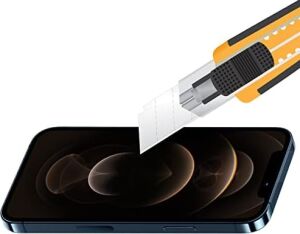Labs Iphone 12 Pro Max Uyumlu 5d Glass Ekran Koruyucu