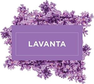 Lavanta Kokulu Konsantre Yüzey Temizleyici 1000 ml