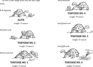 Esio Trot