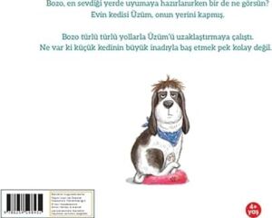 Kedi Yerimi Kaptı!