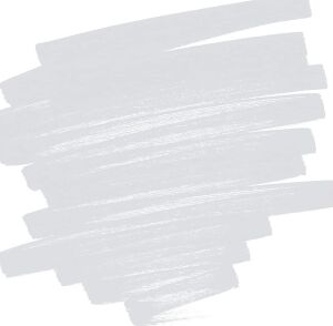 Pilot Pintor B, Gümüş