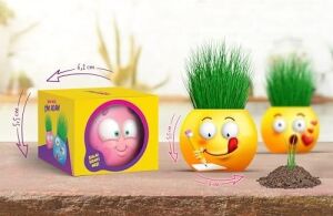 Yuup Emoji Temalı Çim Adam 6'lı Set – Çocuklar Için Eğitici ve Eğlenceli Bitki Yetiştirme Kiti