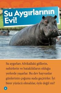 National Geographic Kids - Su Aygırları
