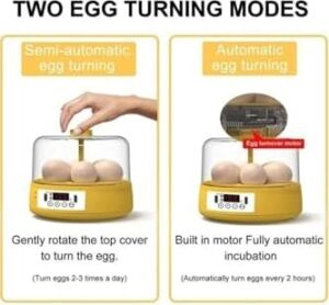 Mini Otomatik Ev Tipi Kuluçka: Elektrikli Tavuk ve Kuş Kuluçka Makinesi 6 Yumurtalı Mx-6