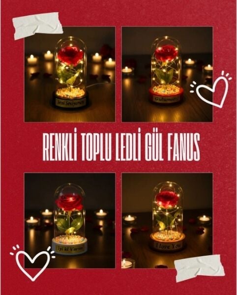 Renkli Toplu Ledli Gül Fanus
