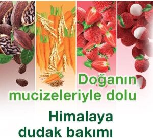 Himalaya Parlatıcı Dudak Kremi, Lip Balm, Çilek, Kayısı Çekirdeği Yağı, NEMLENDIRICI,%100 Doğal Renk, Silikon Içermez, 4,5 gr