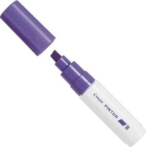 Pilot Pintor B, Mor