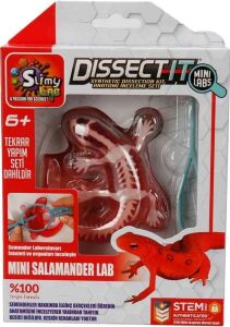 Slimy Dissect It Mini Labaratuvar
