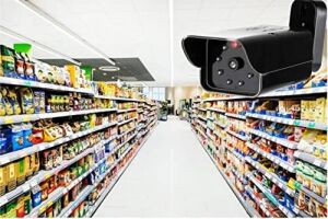 Lorex LR-D12IR Gece Görüşlü Görünümlü Caydırıcı Sahte Kamera, Maket Güvenlik Kamerası