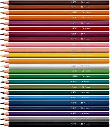 Color Up Üçgen Kuru Boya Kalemi, 24'lü Kutu