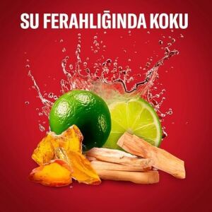 Whitewater Erkekler Için Terleme Önleyici Deodorant Clear Jel Stick 70 ml