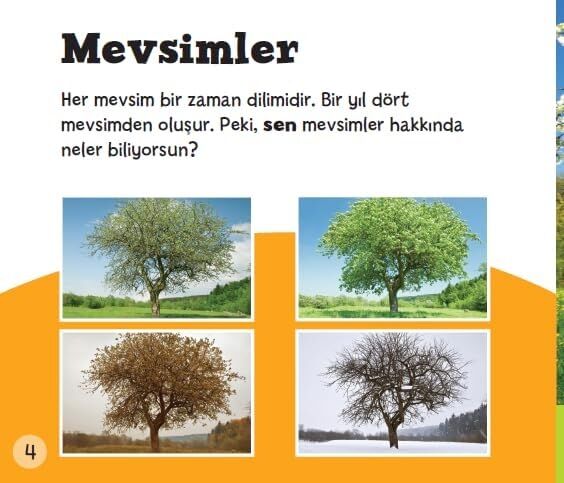 Doğru Mu? Yanlış Mı? - Mevsimler