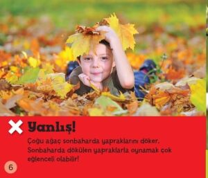 Doğru Mu? Yanlış Mı? - Mevsimler