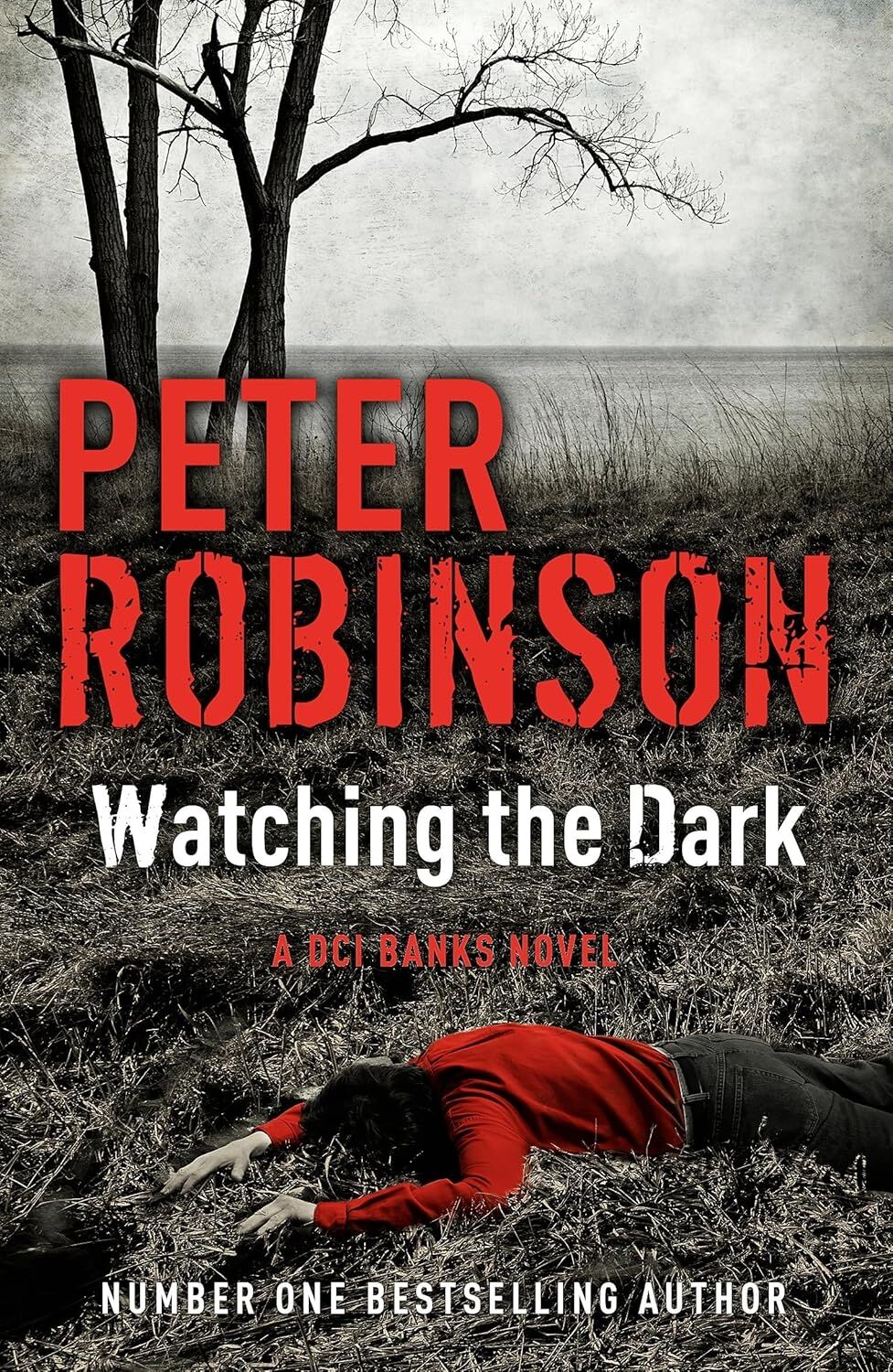 Watching The Dark: The 20TH Dcı Banks Novel From The Master Of The Police Procedural