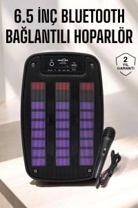 Bluetooth Hoparlör Rgb Işıklı USB Sd Kart Girişli Taşınabilir