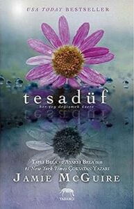 Tesadüf: Her Şey Değişmek Üzere