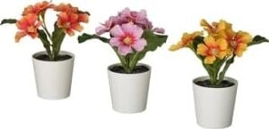 Fejka Saksılı Yapay Bitki, Karışık Renkler, 6 Cm, Çuha Çiçeği, Iç-Dış Mekan