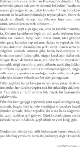 Ilk Öğretmenim