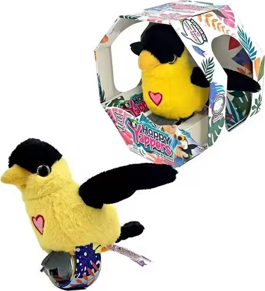 Happy Yappers Slap Bant Konuşan ve Taklit Eden Oriolus Papağan
