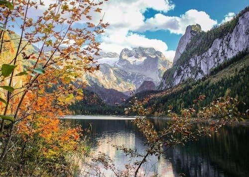 , 1000P Puzzle Avusturya, Yetişkin Puzzle
