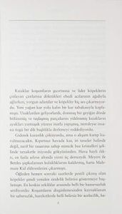 Bir Kuzey Macerası: Modern Klasikler Dizi 111