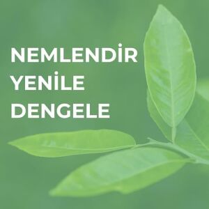 Licape-Besleyici Gece Maskesi (Çay Ağacı Özlü) 50ML