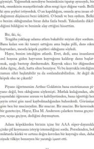 Everest Yayınları Ağustos Mavisi