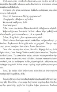 Everest Yayınları Ağustos Mavisi