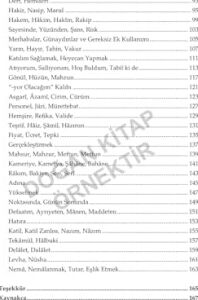 Istanbul Türkçesi: Dil Üslup Kelimeler ve Telaffuz