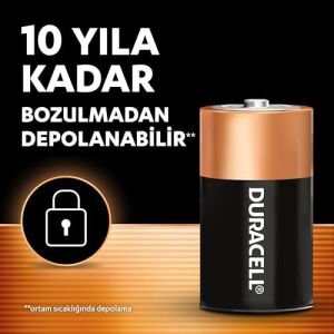 Basıc Alkalin D Pil (2’li Paket) – Çok Amaçlı Alkalin D Pil 1,5V – Daha Uzun Ömürlü – Günlük Cihazlar Için Güvenilir Güç – Plastik Içermeyen Ambalaj - MN1300