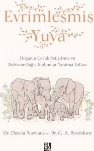 Evrimleşmiş Yuva