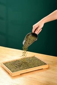 Çelik 21,5 cm No: 2 Baharat Kuruyemiş Bakliyat Erzak Küreği CIN794