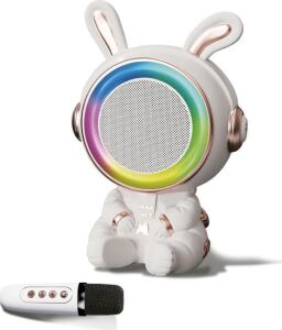 20W 2400 Mah Karaoke Mikrofonlu Ledli Bluetooth Hoparlör BTS-252
