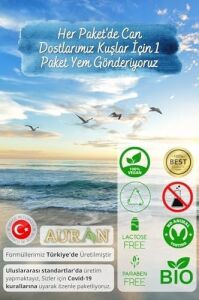Auran Sedir Sandal Çam Saf Esansiyel Uçucu Yağ Buhurdanlık Yağ Difüzör Esans Aromaterapi Ortam 3x 10ML