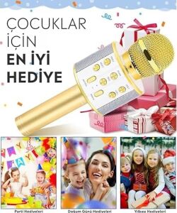 Babilden C-8501 Karaoke Mikrofon Bluetooth USB & Tf & Aux (Gold)