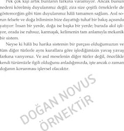 Ormanın Kalbi - Insan Ile Doğa Arasındaki Görünmez Bağ