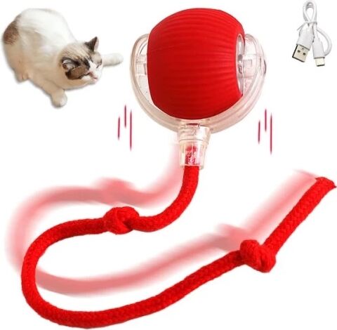 Şarjlı Kedi Oyuncağı