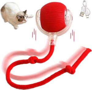 Şarjlı Kedi Oyuncağı
