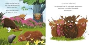 Moira Coo: The Highland Coo Who Flew