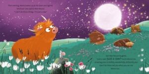 Moira Coo: The Highland Coo Who Flew