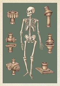 Anatomicum Postcard Box