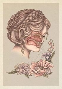 Anatomicum Postcard Box