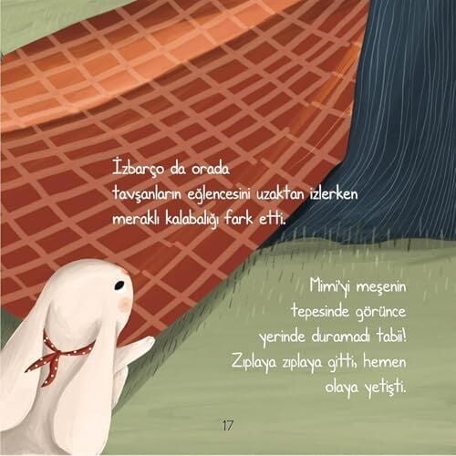 Ip Kuyruklu Tavşan