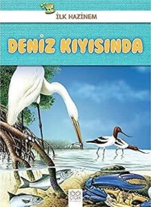 Deniz Kıyısında - Ilk Hazinem