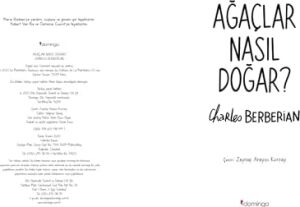 Ağaçlar Nasıl Doğar?