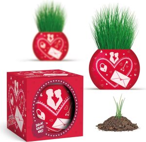 Yuup Aşk Temalı 6'lı Çim Adam Bitki Yetiştirme Seti – Romantik ve Eğlenceli Hediye
