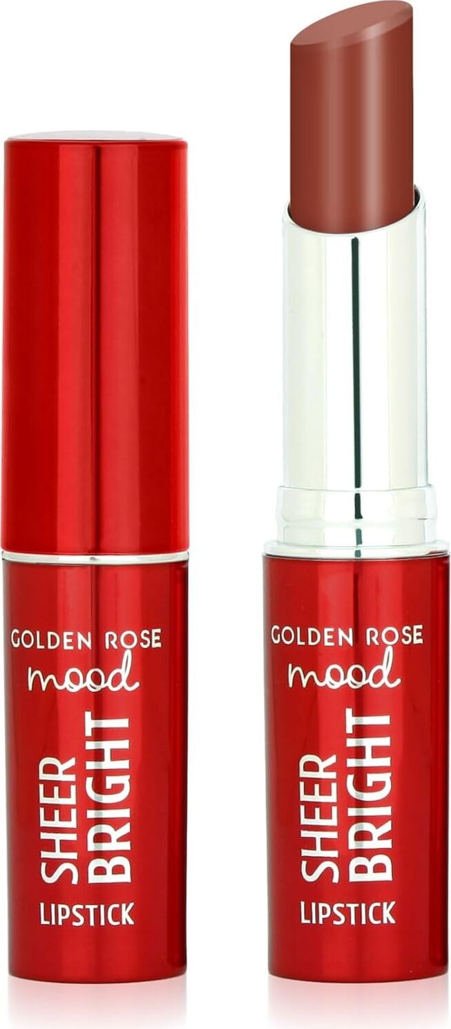 Sheer Bright Lipstick NO:105 Hazelnut - Parlak Ruj